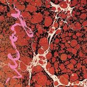 Le texte musical PAIN KILLER de ICEAGE est également présent dans l'album Beyondless (2018)