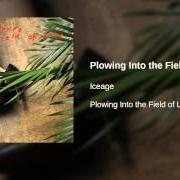 Le texte musical SIMONY de ICEAGE est également présent dans l'album Plowing into the field of love (2014)