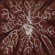 Le texte musical CROWN SHYNESS de TRASH BOAT est également présent dans l'album Crown shyness (2018)