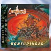 Le texte musical THE LAWS OF SCOURGE de DROWNED est également présent dans l'album Back from hell (2002)