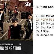 Le texte musical JUNGLE GAME de SF9 est également présent dans l'album Burning sensation (2017)