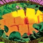 Le texte musical GRINGOLET'S DRUNKEN BAGGAGE de POND est également présent dans l'album Psychedelic mango (2009)