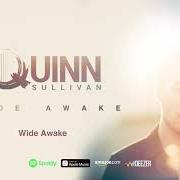 Le texte musical STRAWBERRY RAIN de QUINN SULLIVAN est également présent dans l'album Wide awake (2021)