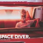 Le texte musical CHAMELEON de BORIS BREJCHA est également présent dans l'album Space diver (2020)