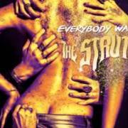 Le texte musical PUT YOUR MONEY ON ME de STRUTS (THE) est également présent dans l'album Everybody wants 2016 (2016)