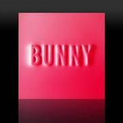 Le texte musical WHAT YOU DON'T KNOW de MATTHEW DEAR est également présent dans l'album Bunny (2018)