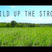 Le texte musical BUILD UP THE STRONG de JULIETTE ASHBY est également présent dans l'album Build up the strong (2016)