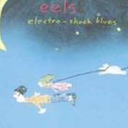 Le texte musical ELECTRO-SHOCK BLUES de EELS est également présent dans l'album Electro-shock blues (1998)