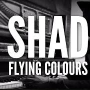 Le texte musical HE SAY SHE SAY de SHAD est également présent dans l'album Flying colours (2013)