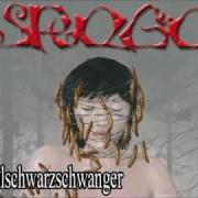 Le texte musical STAHLSCHWARZSCHWANGER de EISREGEN est également présent dans l'album Knochenkult (2008)