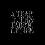 Le texte musical CONTORTED IN THE FAILLE de KNOCKED LOOSE est également présent dans l'album A tear in the fabric of life (2021)