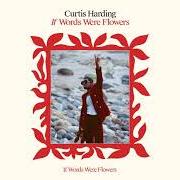 Le texte musical IT'S A WONDER de CURTIS HARDING est également présent dans l'album If words were flowers (2021)