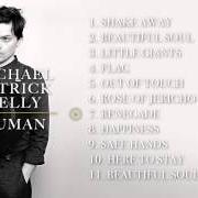 Le texte musical FLAG de MICHAEL PATRICK KELLY est également présent dans l'album Human (2015)