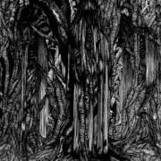 Le texte musical CRY FOR THE WEEPER de SUNN O))) est également présent dans l'album Black one (2005)