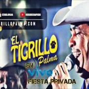 Le texte musical DESTINO CRUEL de EL TIGRILLO PALMA est également présent dans l'album Fiesta privada con banda (2008)