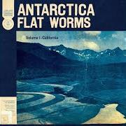 Le texte musical TERMS OF VISITATION de FLAT WORMS est également présent dans l'album Antarctica (2020)