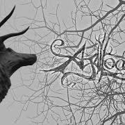 Le texte musical IN THE SHADOW OF OUR PALE COMPANION de AGALLOCH est également présent dans l'album The mantle (2002)