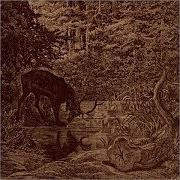 Le texte musical HAUNTING BIRDS de AGALLOCH est également présent dans l'album Of stone, wind and pillor - ep (2001)