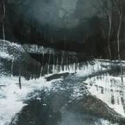 Le texte musical TO DROWN de AGALLOCH est également présent dans l'album Marrow of the spirit (2010)