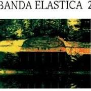 Elastica