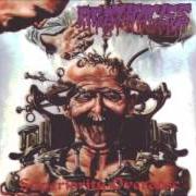 Le texte musical ONE-WAY-DEAD-END-STREET de AGATHOCLES est également présent dans l'album Superiority overdose (2001)