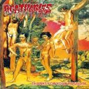 Le texte musical KNOCK BACK de AGATHOCLES est également présent dans l'album Thanks for your hostility (1996)