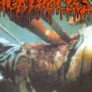 Le texte musical LIBIDINOUS URGES de AGATHOCLES est également présent dans l'album A for arrogance (1996)