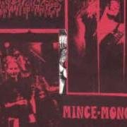 Le texte musical CHRISTIANITY MEANS TYRANNY de AGATHOCLES est également présent dans l'album Mince-mongers in barna - ep (1994)