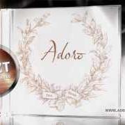 Le texte musical LIEBE IST de ADORO est également présent dans l'album Das beste (2013)