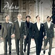 Le texte musical BITTE HÖR NICHT AUF ZU TRÄUMEN de ADORO est également présent dans l'album Liebe meines lebens (2011)