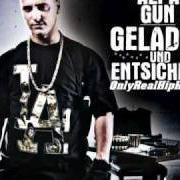 Le texte musical DAS LEBEN IST EIN SCHUSS de ALPA GUN est également présent dans l'album Geladen und entsichert (2007)