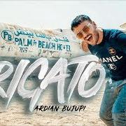 Le texte musical VIP de ARDIAN BUJUPI est également présent dans l'album Arigato (2018)