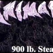 Le texte musical PISSED OFF de ANIMAL est également présent dans l'album 900 lb. steam (2002)