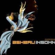 Le texte musical BOONDOCKS THEME de ASHERU est également présent dans l'album Insomnia: sleepless in japan (2006)