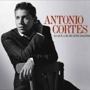 Le texte musical NO PUEDO VIVIR SIN TI de ANTONIO CORTÉS est également présent dans l'album Lo que a mi me esta pasando (2010)