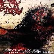 Le texte musical NUTTING ALL OVER YOUR DISTORTED, DOWNSYNDROME FACE de ARTERY ERUPTION est également présent dans l'album Driving my fist through her chest (2009)