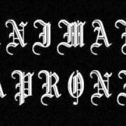 Le texte musical MY LAST TEARS de ANIMAE CAPRONII est également présent dans l'album And hourglass of lifetime (2008)