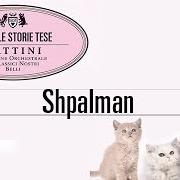 Le texte musical SHPALMAN de ELIO E LE STORIE TESE est également présent dans l'album Gattini (2009)