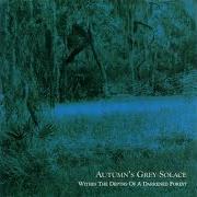 Le texte musical SHADOWS OF MOONLIT NIGHTS de AUTUMN'S GREY SOLACE est également présent dans l'album Within the depths of a darkened forest (2002)