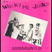 Le texte musical TRANS AM (THE SAGA CONTINUES) de ADRENALIN O.D. est également présent dans l'album The wacky hi-jinks of... (1984)