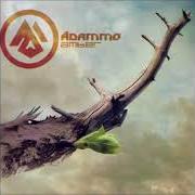 Le texte musical SIENTO QUE CAIGO de ADAMMO est également présent dans l'album Amber (2011)