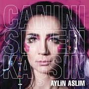 Le texte musical HOSUNA GITMEDI MI (KIZKACIRAN) de AYLIN ASLIM est également présent dans l'album Canini seven kacsin (2009)