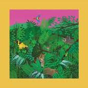 Le texte musical LIVING SMALL de TURNOVER est également présent dans l'album Good nature (2017)