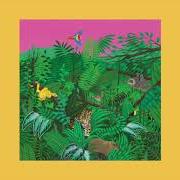 Le texte musical BUTTERFLY DREAM de TURNOVER est également présent dans l'album Good nature (2017)