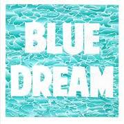 Le texte musical DISINTEGRATION de TURNOVER est également présent dans l'album Blue dream (2014)