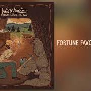 Le texte musical DAMN DARLIN' de 49 WINCHESTER est également présent dans l'album Fortune favors the bold (2022)