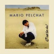 Le texte musical TU ME MANQUES de MARIO PELCHAT est également présent dans l'album C'est la vie (1995)