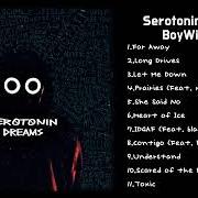 Le texte musical HEART OF ICE de BOYWITHUKE est également présent dans l'album Serotonin dreams (2022)