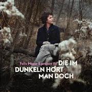 Le texte musical STEH AUF! de FELIX MEYER est également présent dans l'album Die im dunkeln hoert man doch (2019)