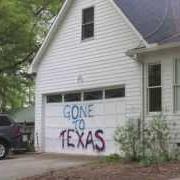 Le texte musical WINGS OF FREEDOM de MIKE ZITO est également présent dans l'album Gone to texas (2013)